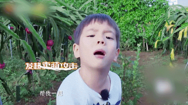 e0f855c3gy1fkqu7izzhxg20go09cnpi