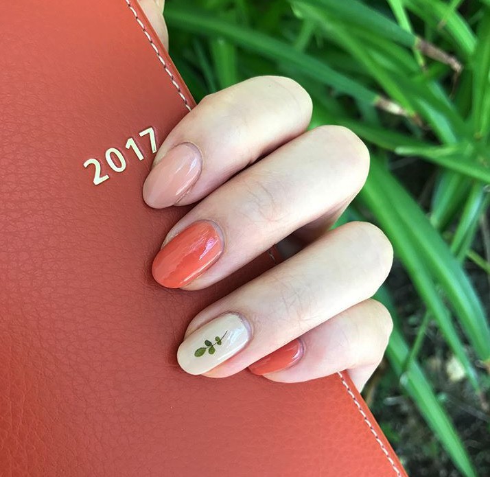 Screen Shot 2017-11-09 at 11.03.24 AM