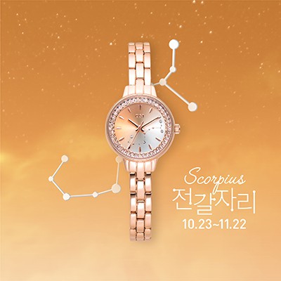 팝업용