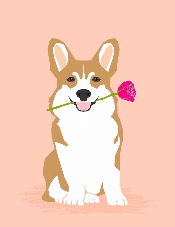 94c1d77bbd71532f2d0091d2774f0a9b