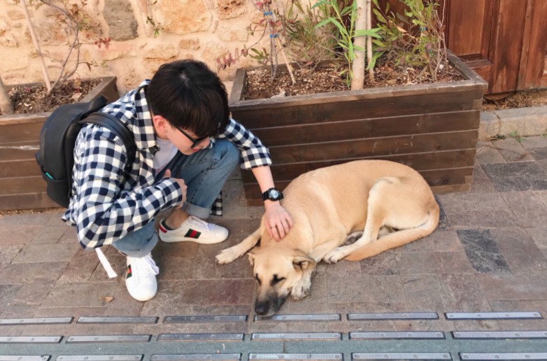 Screen Shot 2017-12-18 at 1.02.15 PM