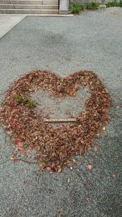 bc3c7a5c5251876f12b73c1ddd552ccb