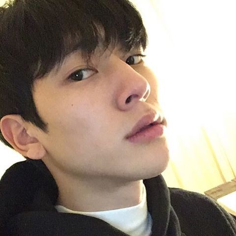 15875629_1817931981808697_8334591141211013120_n