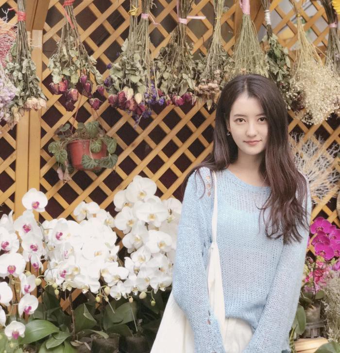 4311520-0e36e9f02eee81d2