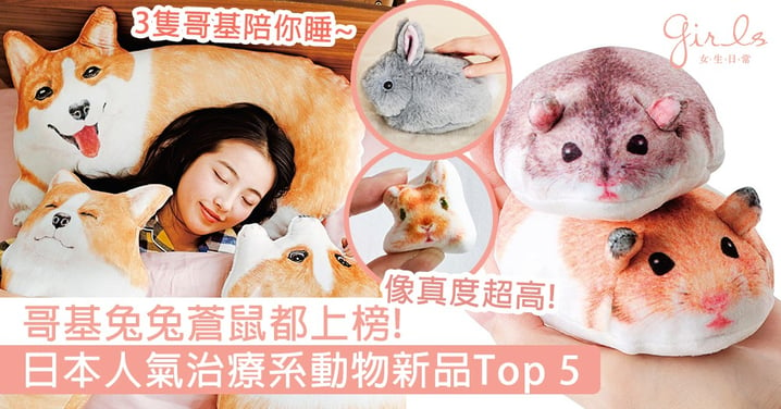最強屁屁哥基陪你睡！日本人氣治療系動物新品Top 5，軟萌兔兔蒼鼠小物最多人爭！
