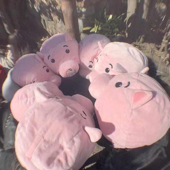 Screen Shot 2018-01-30 at 5.57.10 PM