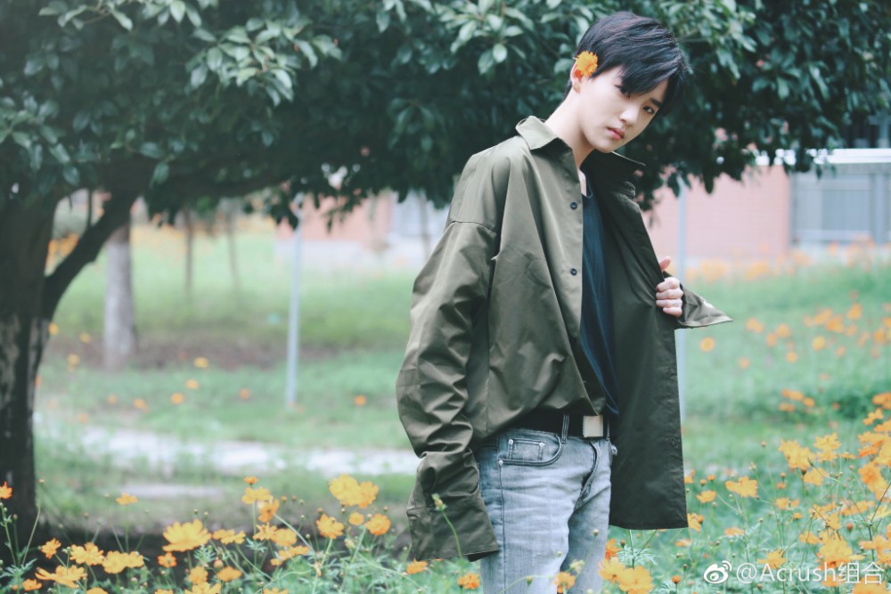 006IpzSegy1fl8tay2qwoj334022ohdy