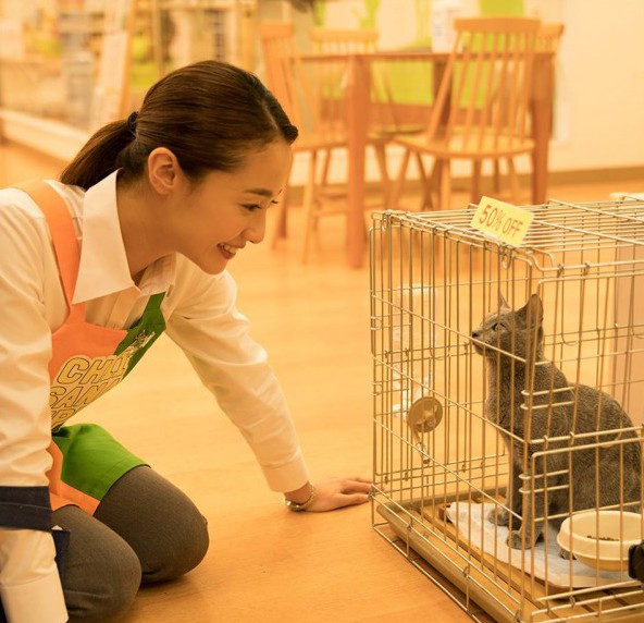 25440324_145309756190362_1963927483928115776_o