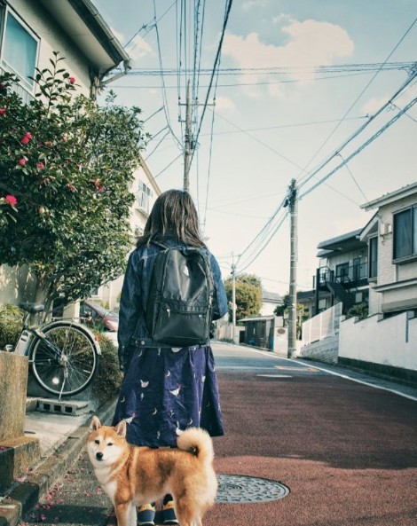 Screen Shot 2018-02-05 at 3.46.27 PM