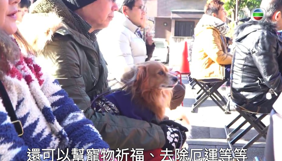 Screen Shot 2018-02-28 at 12.04.07 PM