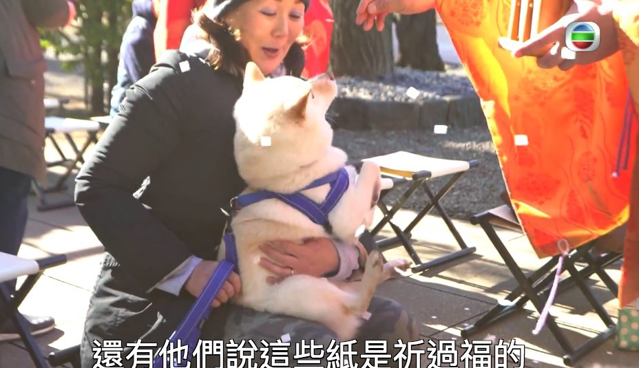 Screen Shot 2018-02-28 at 12.05.08 PM