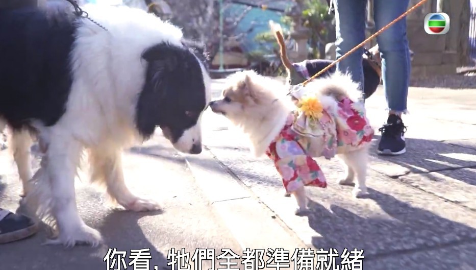 Screen Shot 2018-02-28 at 12.05.49 PM