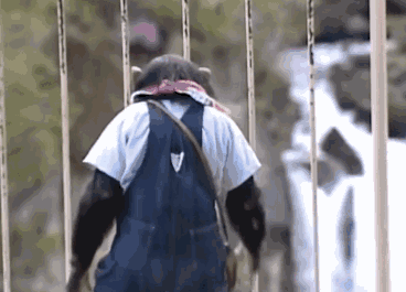 66n4000001o20q6sq19r