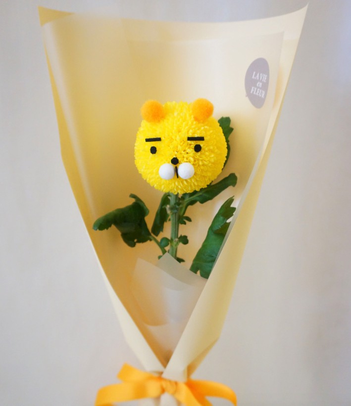 Screen Shot 2018-03-09 at 11.36.25 AM