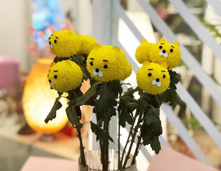 Screen Shot 2018-03-09 at 11.37.18 AM