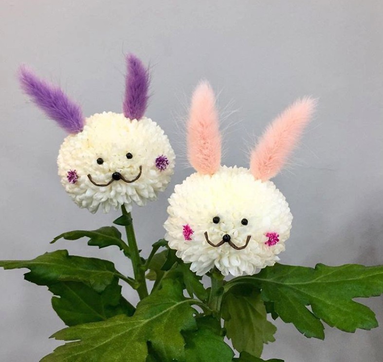 Screen Shot 2018-03-09 at 11.37.43 AM