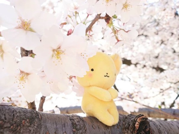 Screen Shot 2018-03-29 at 12.05.47 PM