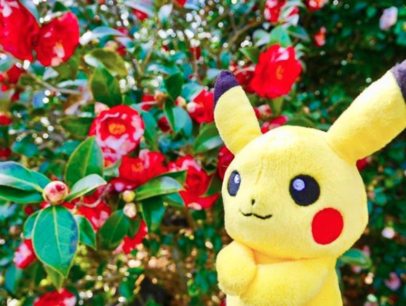 Screen Shot 2018-03-29 at 12.22.11 PM