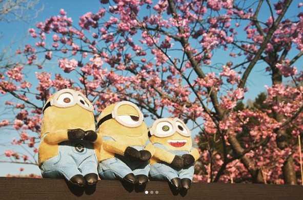 Screen Shot 2018-03-29 at 12.24.27 PM