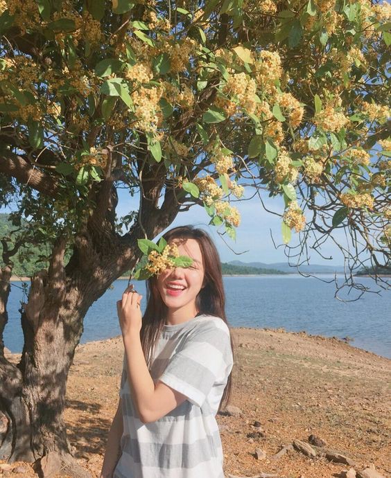 c2a9351973401477a53a8554766be306