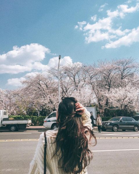 f0dc1081747e7e593de071256b374876