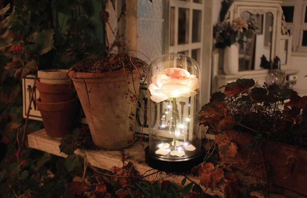 Screen Shot 2018-04-13 at 3.56.36 PM