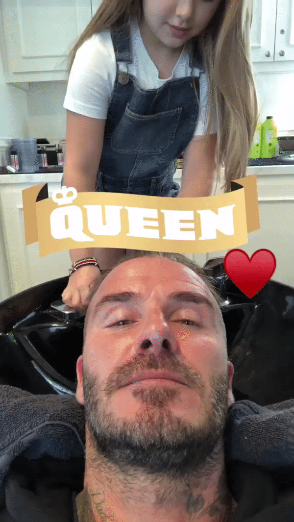ezgif.com-video-to-gif (1)