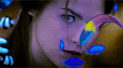 leonardo dicaprio GIF-downsized_large