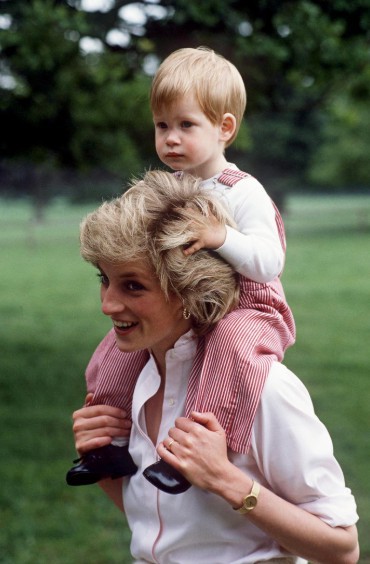 螢幕快照 2018-05-21 下午12.13.10