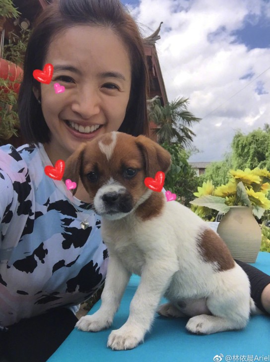 螢幕快照 2018-05-30 下午5.34.32