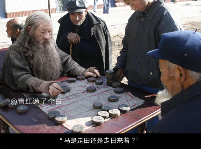 005LCQagly1foynf0ygrdj313d0t548w