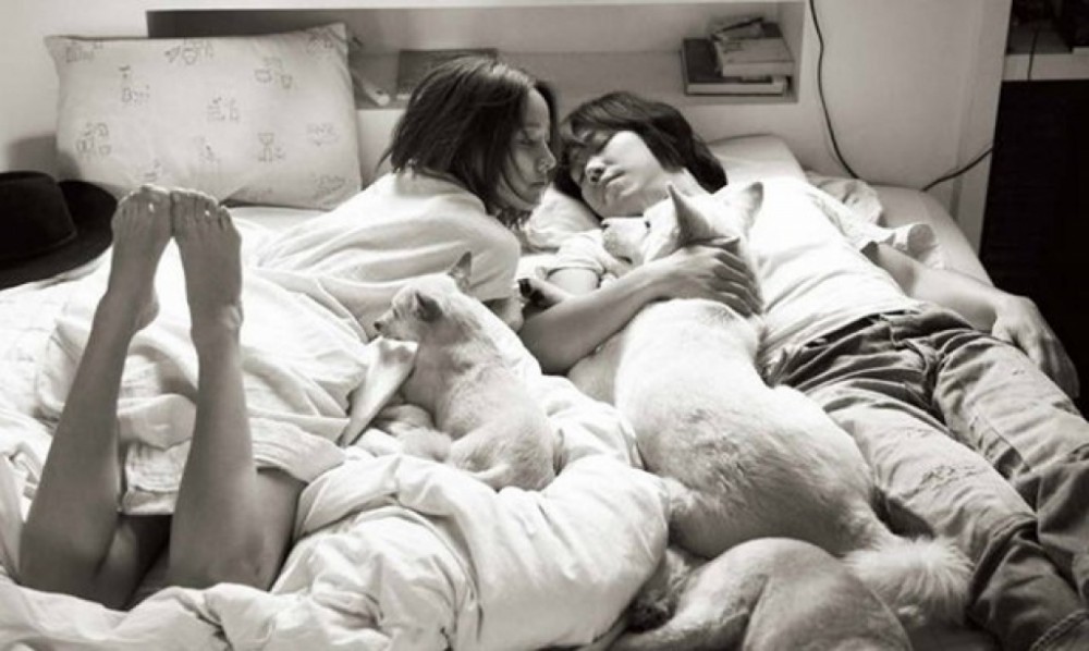 2635_201570041438586667