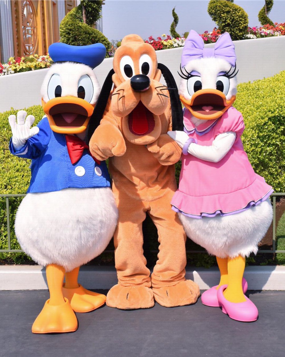 32063955_364561934038714_358977670156910592_n