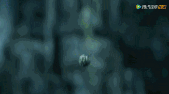 0066OLMcly4fsk9atht7hg309q05enm2