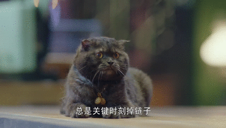 006GCJgugy1fs9og3cz8kg30cy07b7pv