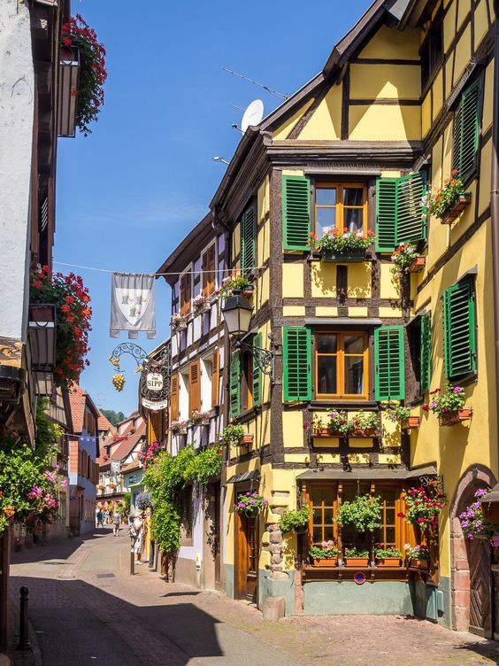 88121a71471b9878270f5425241a2028