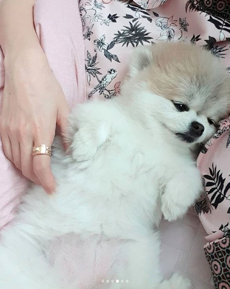 Screen Shot 2018-06-07 at 10.46.03 AM