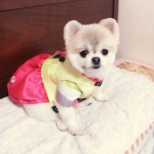 Screen Shot 2018-06-07 at 11.35.40 AM