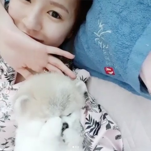 Screen Shot 2018-06-07 at 11.40.58 AM