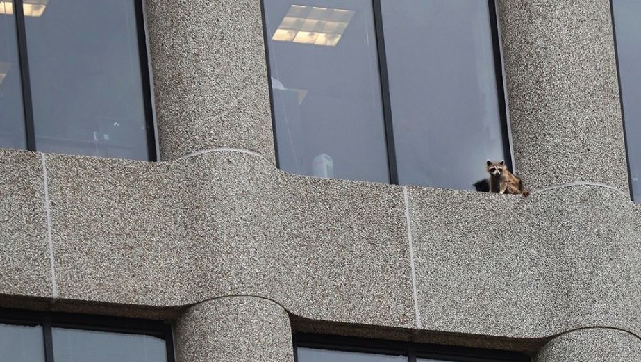 Screen Shot 2018-06-14 at 4.00.17 PM