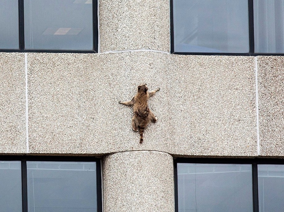 Screen Shot 2018-06-14 at 4.00.22 PM