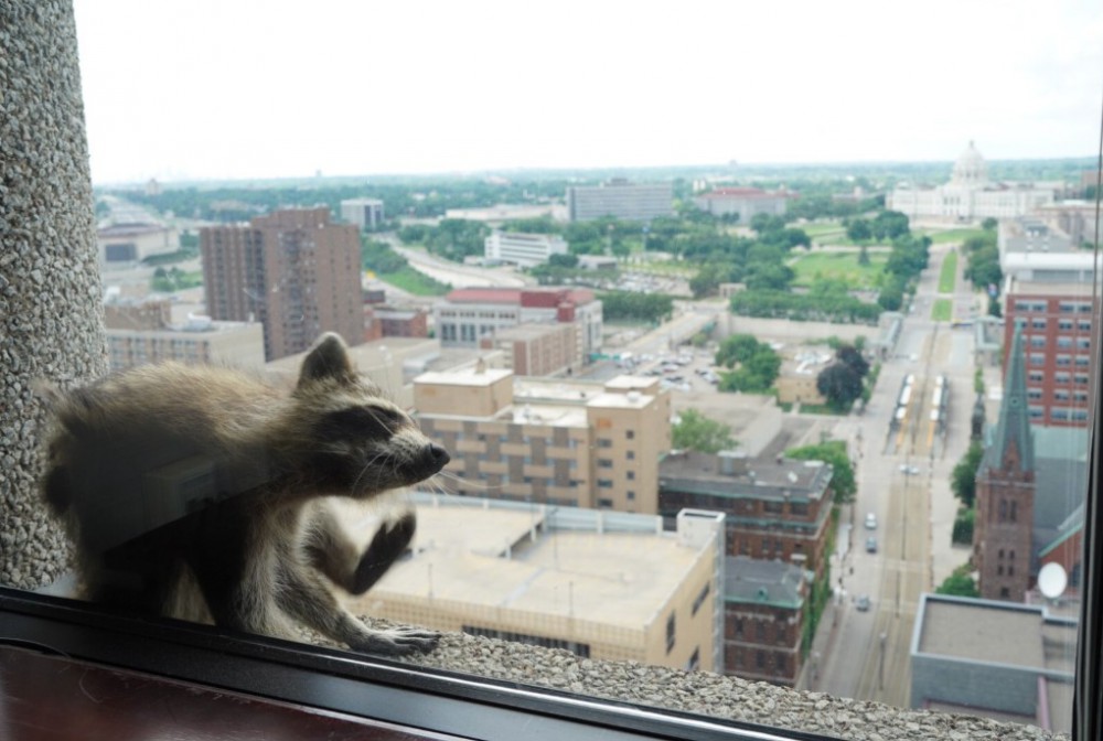 Screen Shot 2018-06-14 at 4.32.10 PM