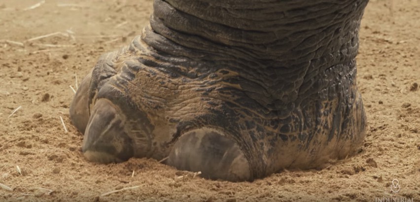 Screen Shot 2018-06-15 at 5.41.51 PM