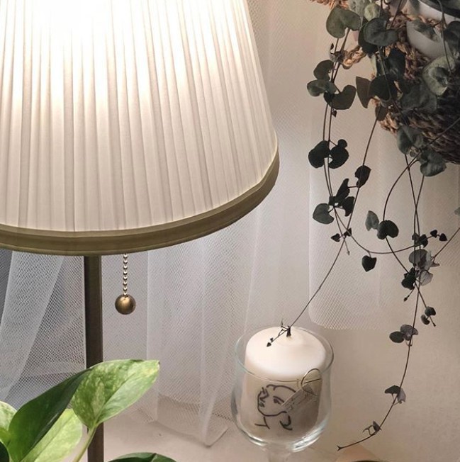 Screen Shot 2018-06-15 at 6.06.15 PM