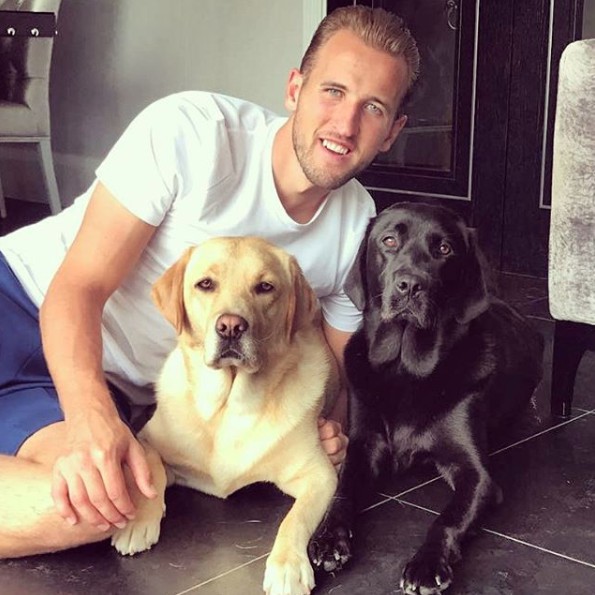 Screen Shot 2018-06-20 at 12.15.01 PM