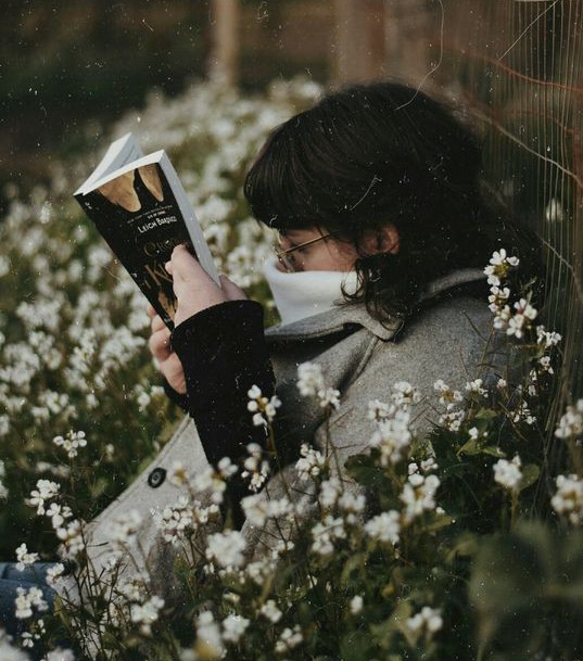 a7982f18ab8fb886b9077c307931219e