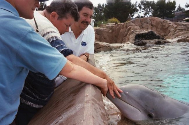 螢幕快照 2018-07-05 下午3.41.27