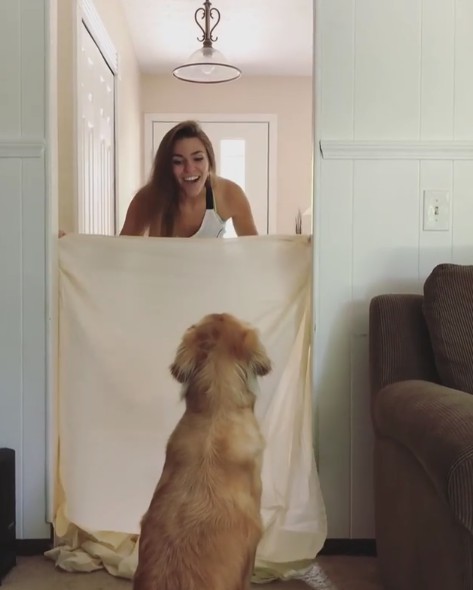 螢幕快照 2018-07-11 上午11.12.59