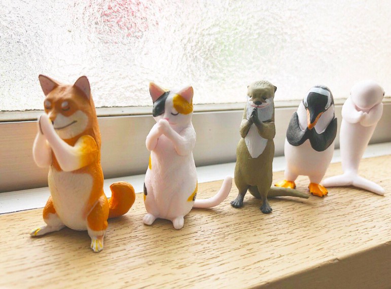 螢幕快照-2018-07-12-下午4.25.27