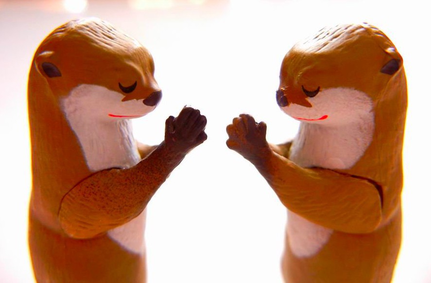 螢幕快照-2018-07-13-上午11.43.20